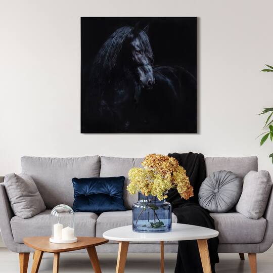 Empire Art Direct 38" x 38" Black Equine Attraction Frameless Printed Tempered Glass Wall Art